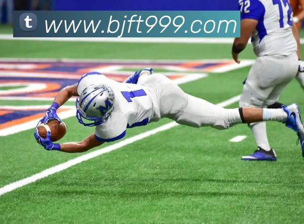 星空体育全站App